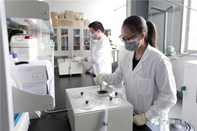 【關注】果味醒神水、蠶絲骨釘…這些高科技環保產品你聽過嗎?在南沙這家環保企業通通找得到!