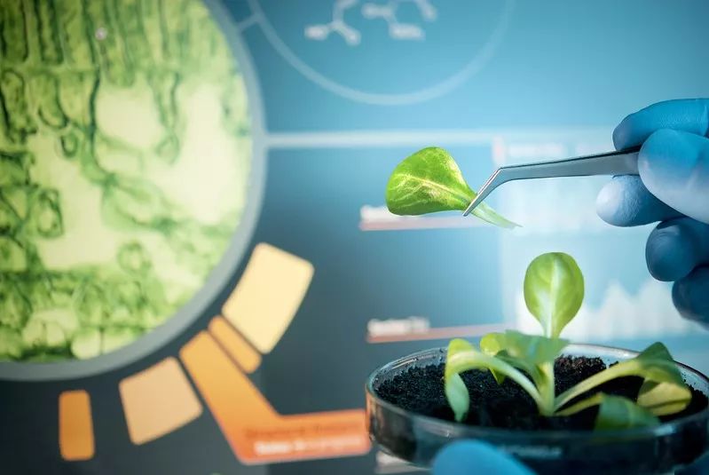 最新研究計劃啟動,這所名校開始布局下一個十年