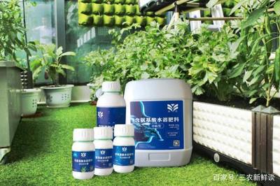 皇圖生態農業:自主研發魚肽有機肥改善土壤污染問題